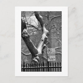 "Vintern i staden" vykort