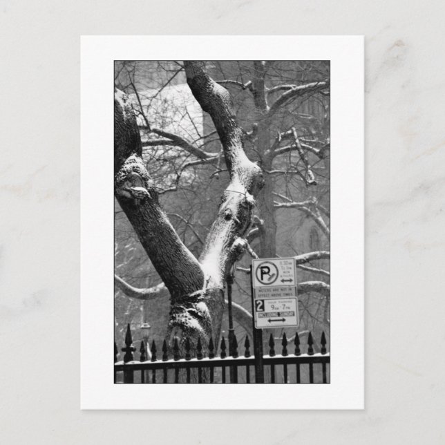 "Vintern i staden" vykort (Framsida)