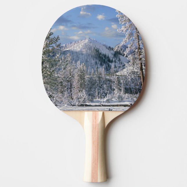 Vintern i Yellowstone National Park, Wyoming Pingisracket (Framsidan)