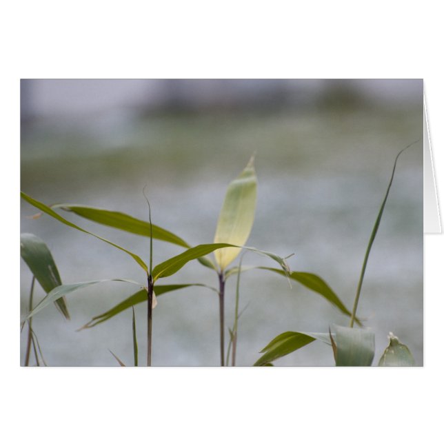 Vintern kommer hälsningskort (Framsidan Horizontal)