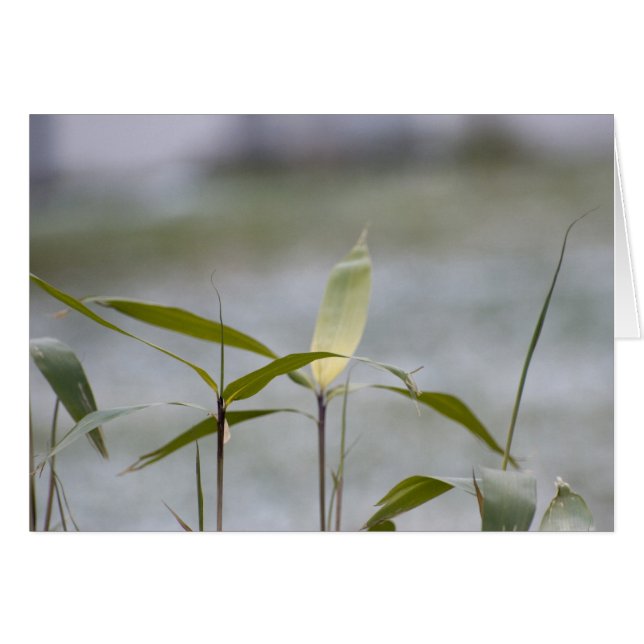 Vintern kommer hälsningskort (Framsidan Horizontal)