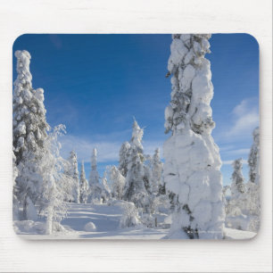 Vintern landskap i Lappland Musmatta