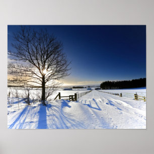 Vintern landskap poster