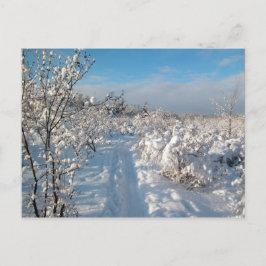 Vintern landskap - vykortet vykort