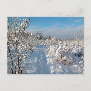 Vintern landskap - vykortet vykort