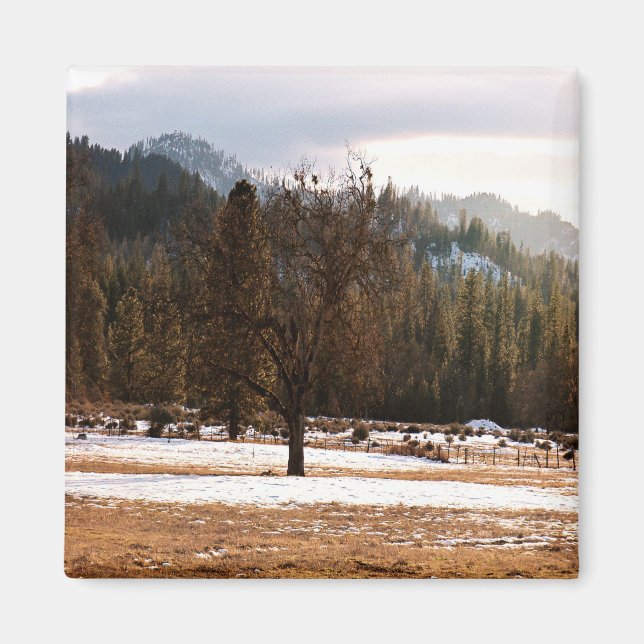 Vintern.... Magnet (Framsidan)