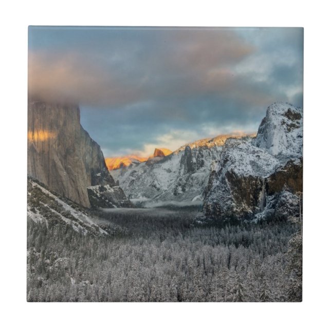 Vintern markerar kakelplatta (Framsidan)