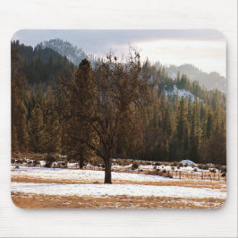 Vintern.... Musmatta