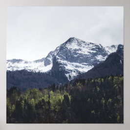 Vintern och Vår - grönt träd och snöberget Poster