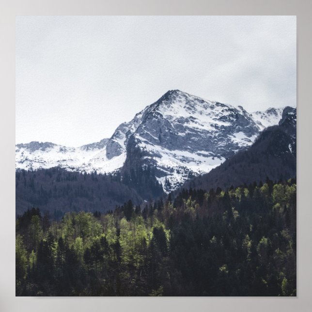 Vintern och Vår - grönt träd och snöberget Poster (Framsidan)