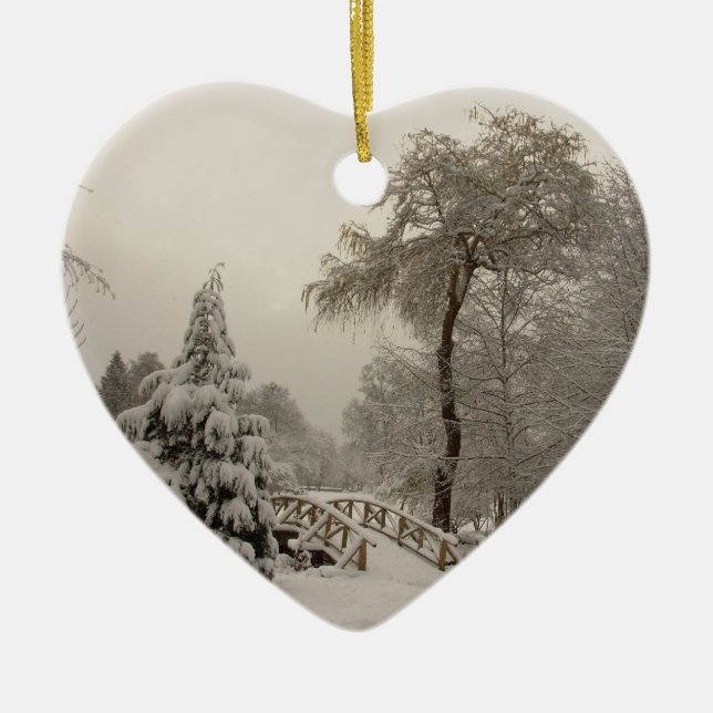 Vintern överbryggar dekorationer för (Framsidan)