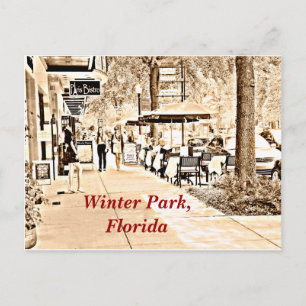 Vintern parkerar Florida - vykort