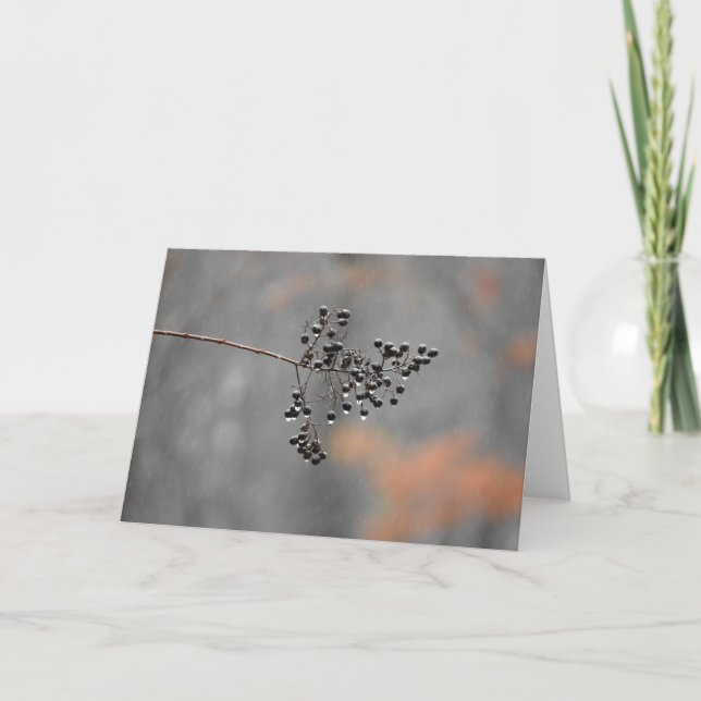 Vintern regnar, card kort (Framsida)