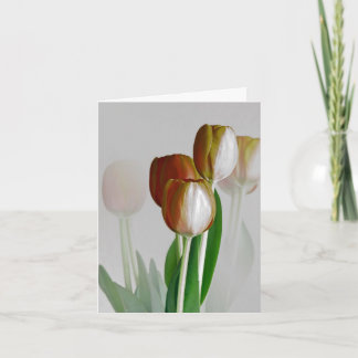 Vintern tänder kort