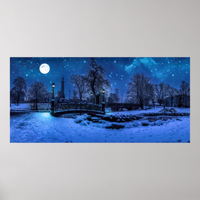 Vinternatt med stjärnor himlar och fullt poster (Framsidan)