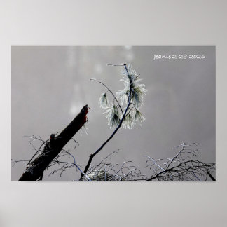 Vinternatur Poster