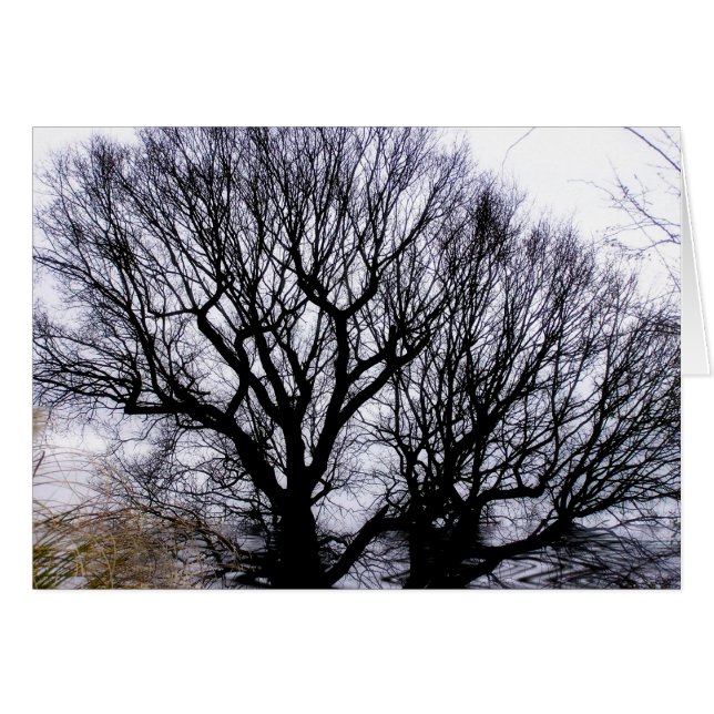 Vinternaturkort Hälsningskort (Framsidan Horizontal)