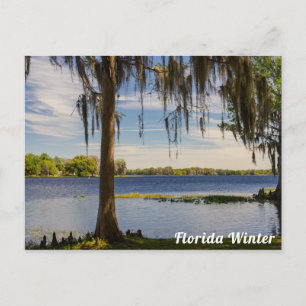 Vinterns Florida vykort