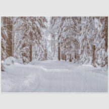 Vinterpapper för avskärmning av skog 11