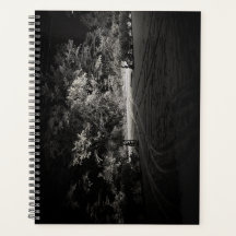 Vinterplanering i svart och vitt