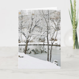 Vinterpond-helgdag Helgkort