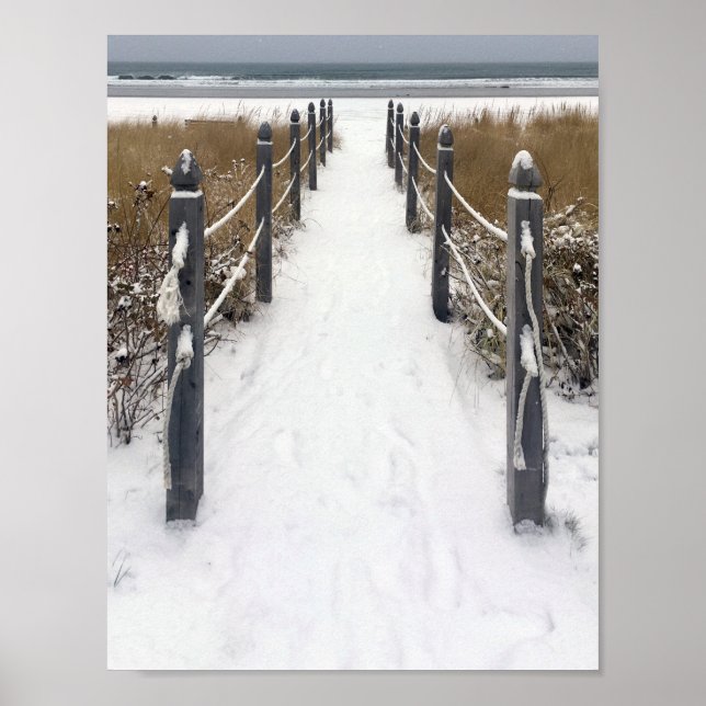 Vinterpromenad i gammal trädgårdsstrand poster (Framsidan)