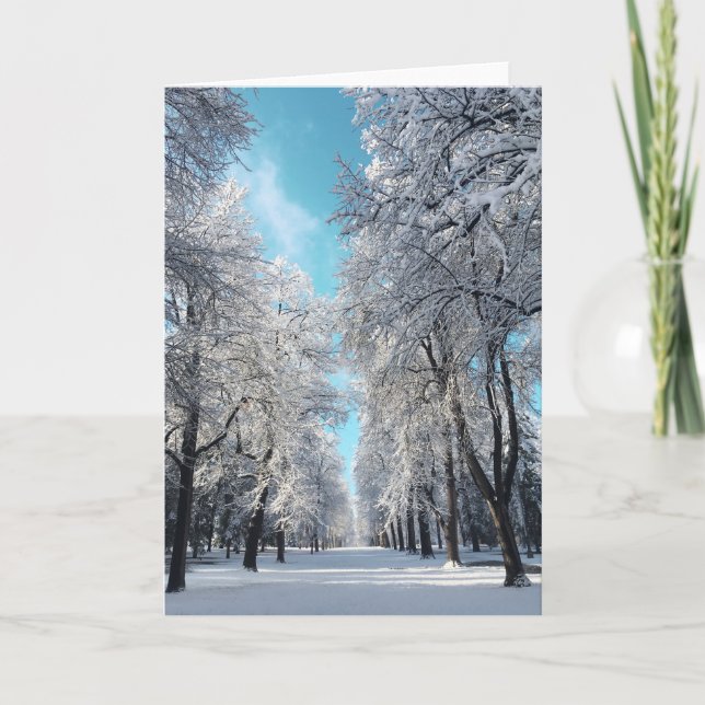 vinterpromenad i parken helgkort (Framsida)