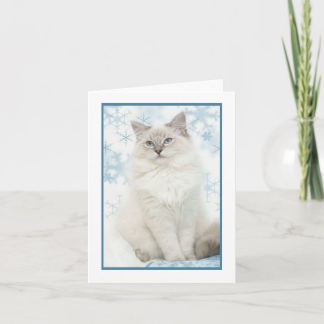 vinterragdoll notecard helgkort (Framsida)