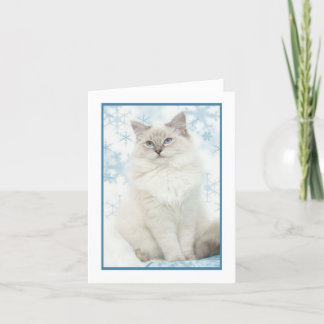 vinterragdoll notecard helgkort