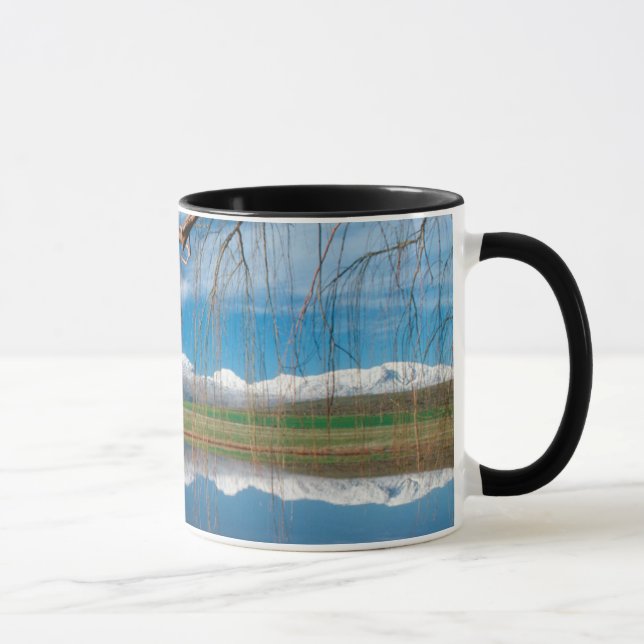 Vinterreflektioner. Ceres, Boland-distriktet Mugg (Höger)