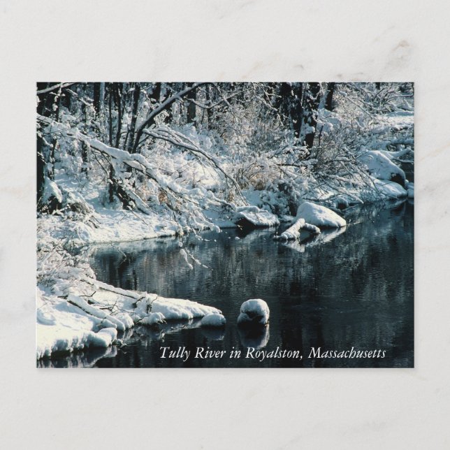 Vinterreflexioner Royalston, Massachusetts Vykort (Framsida)