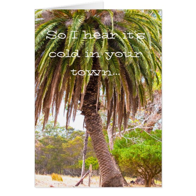 Vinterretsticka Hälsningskort (Framsidan)