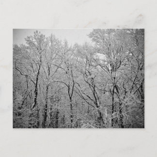 Vinters sista andetag vykort