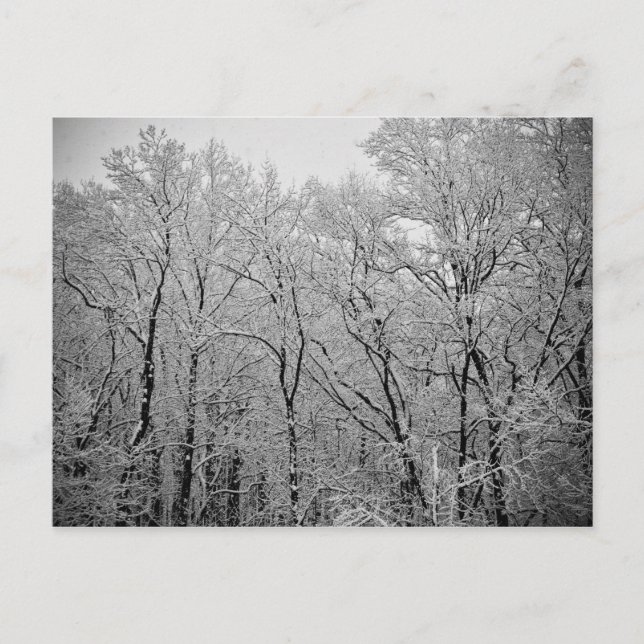 Vinters sista andetag vykort (Framsida)