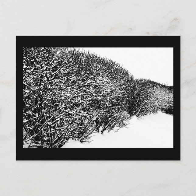 vintersäkring vykort (Framsida)