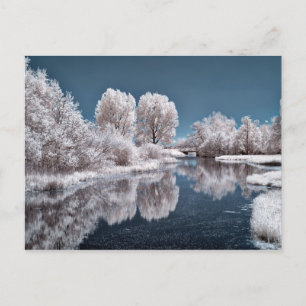 Vinterscen Vykort