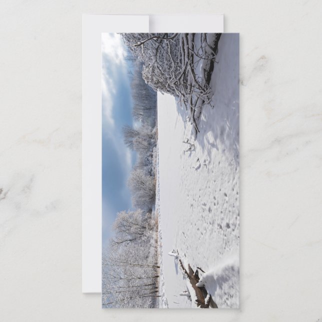 Vinterscenen längs dammen och skogarna i Salem bac (Framsida)