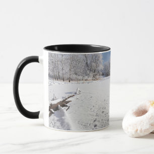 Vinterscenen längs dammen och skogarna i Salem bac Mugg