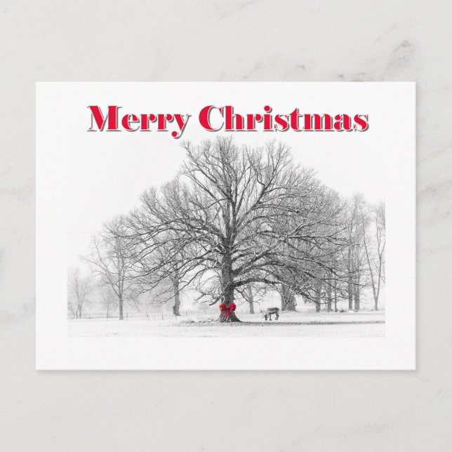 Vinterscenens julkort (vykort) helg vykort (Framsida)