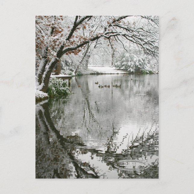 Vinterscenens vykort (Framsida)