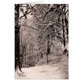 Vinterskog (5.0) hälsningskort