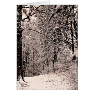 Vinterskog (5.0) hälsningskort