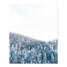 Vinterskog med täckt fjäll i snö