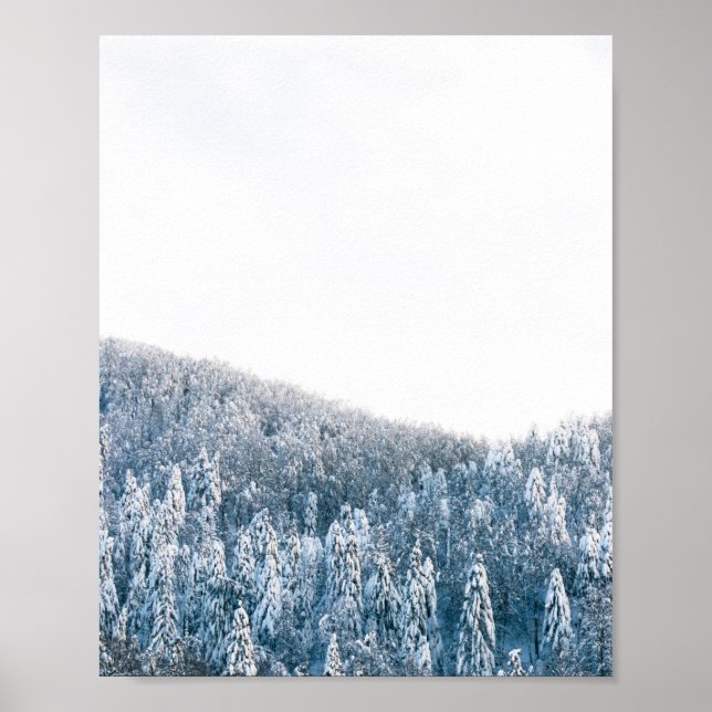 Vinterskog med täckt fjäll i snö poster (Framsidan)