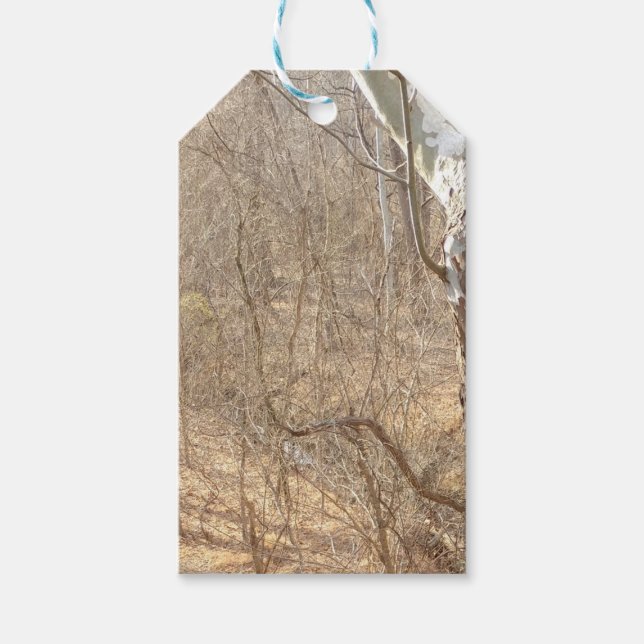 vinterskog presentetikett (Framsidan)