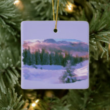 Vinterskogshögats Lila Light reflekterat på Snö