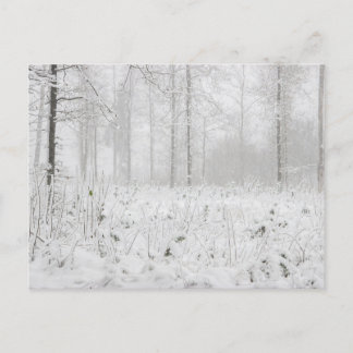 Vinterskogslandskap med snövintern träd helg vykort