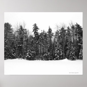 Vinterskogträd som täckas i fallande snö poster