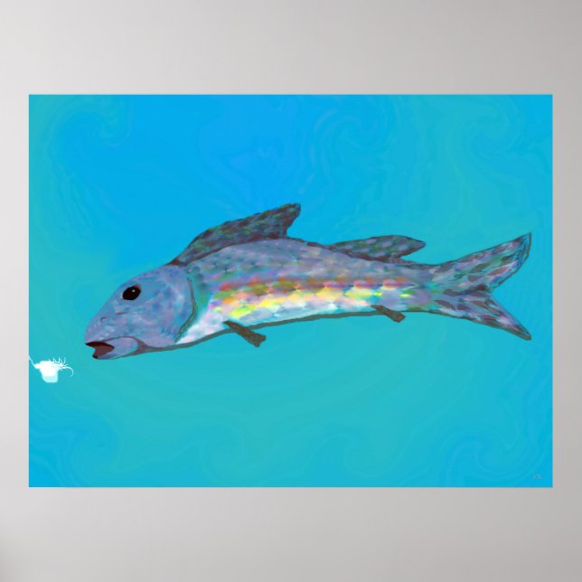 Vinterskönhetaffisch Poster (Framsidan)