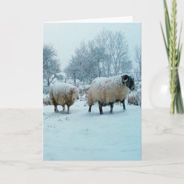 Vinterskymning med får i snö Scen Kan Anpassas Kort (Framsida)